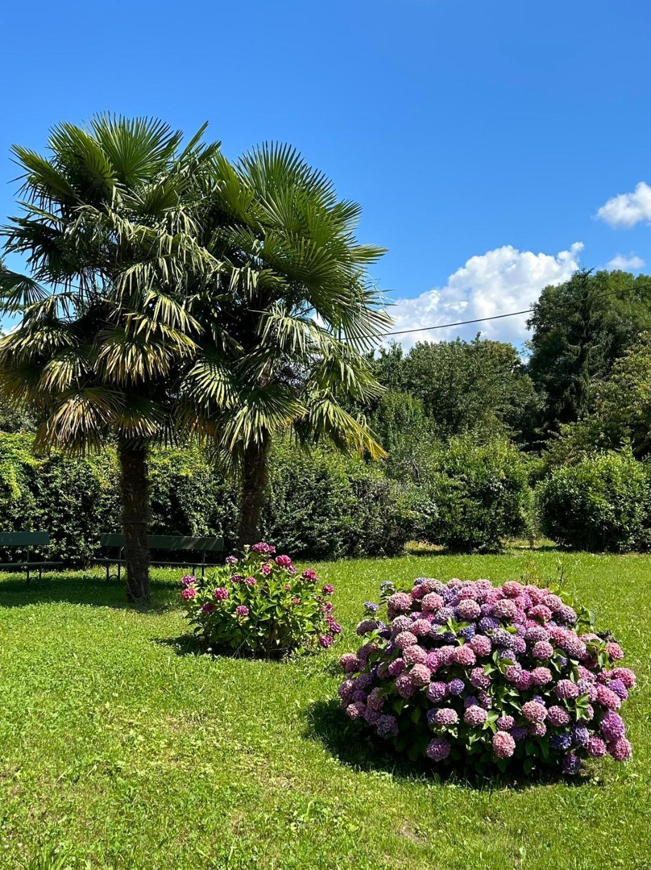 Villa Agnona Camere Borgosesia Zewnętrze zdjęcie